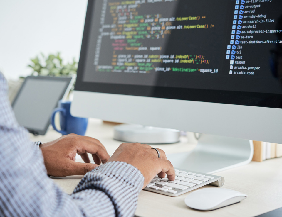 Web Development